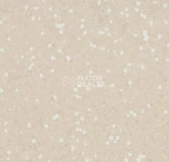 Линолеум Forbo Sphera Sd 550023 sand фото 1 | FLOORDEALER